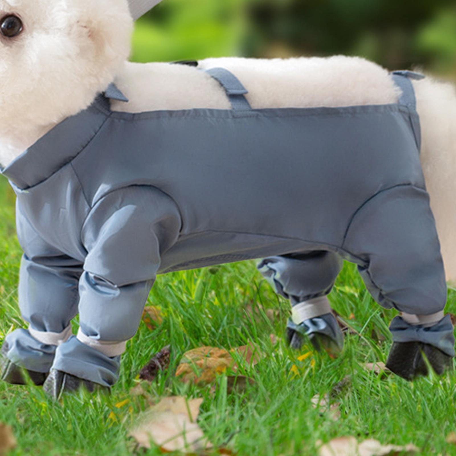 Waterproof Dog Boots With Susp - Women'S Shoes Hush Puppies recension och pris