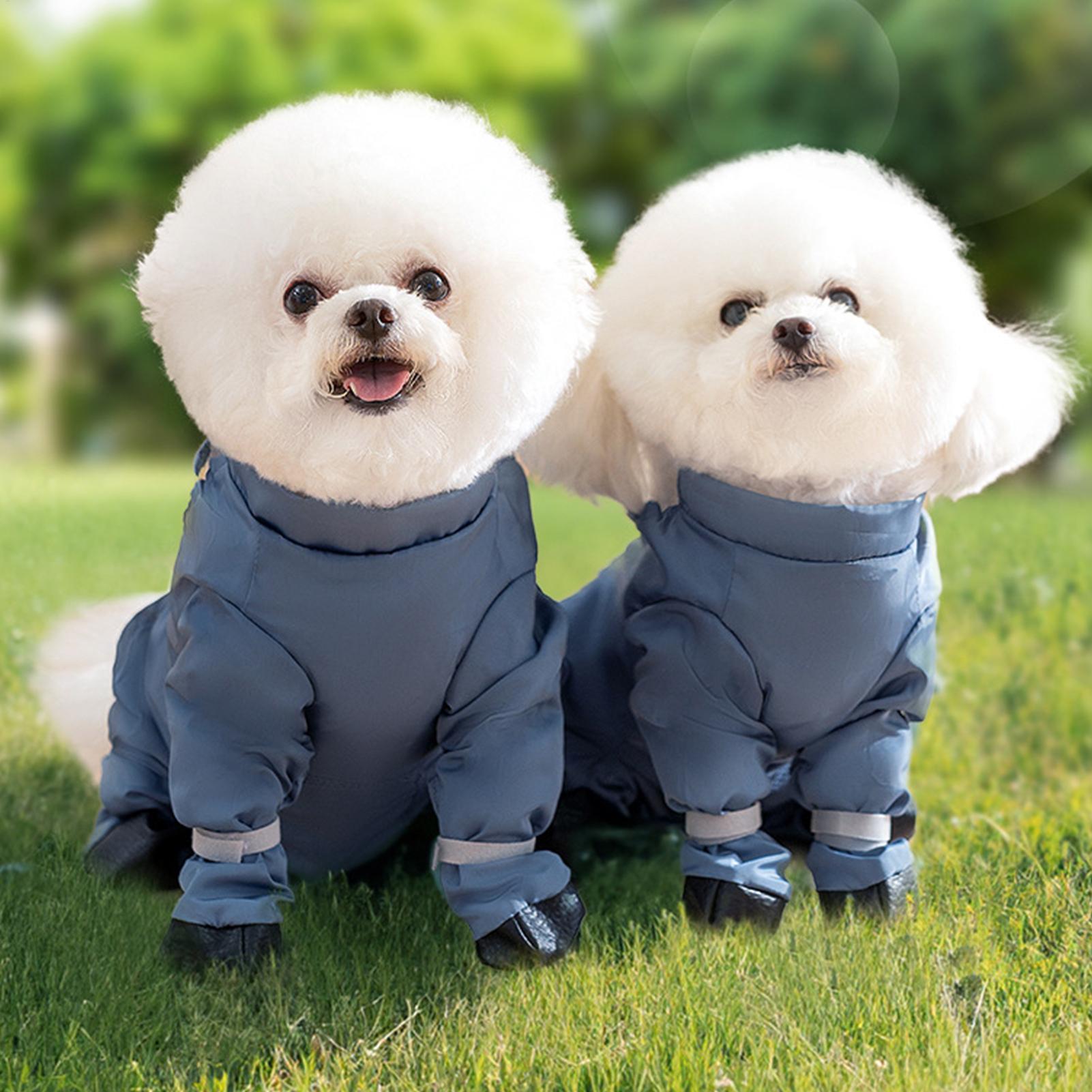 Waterproof Dog Boots With Susp - Women'S Shoes Hush Puppies recension och pris